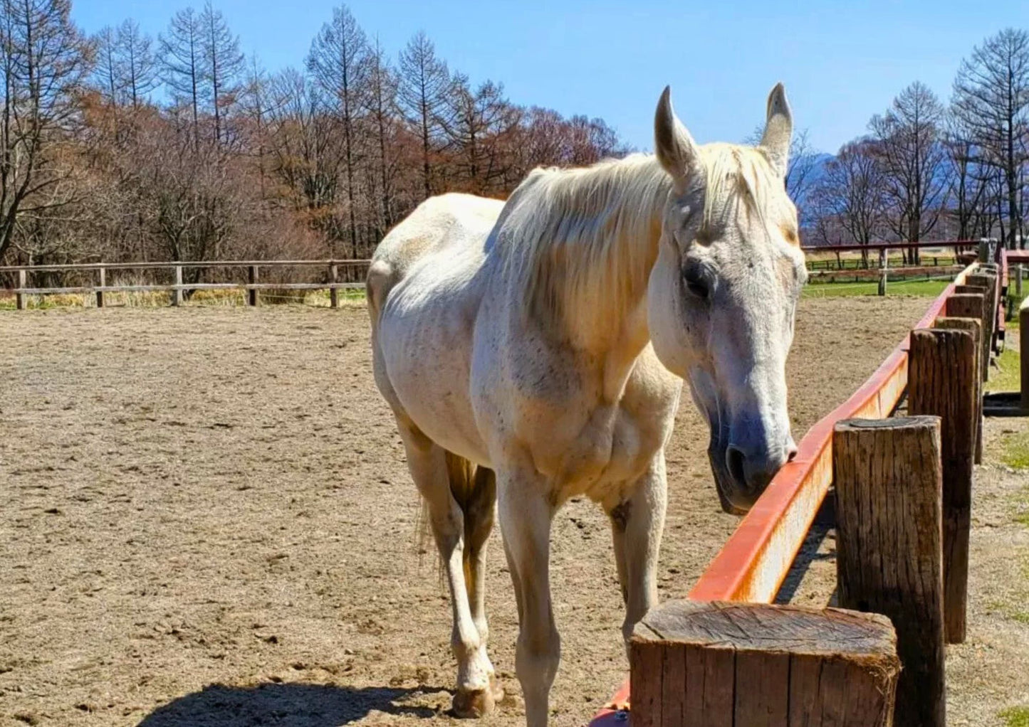 10天甲信越私人包團