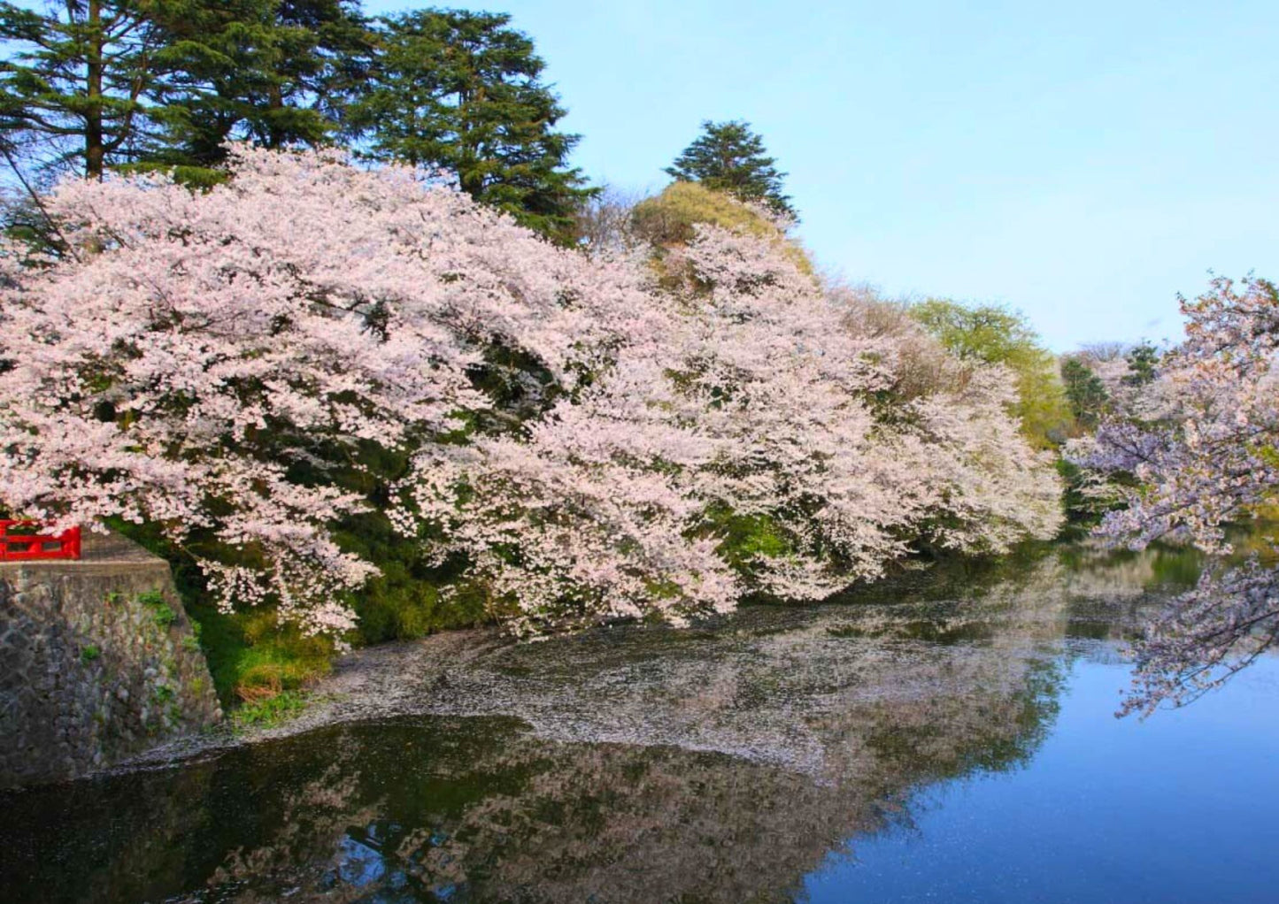 7 DAYS TATEYAMA PRIVATE TOUR