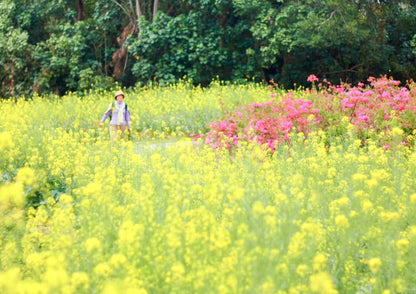 3 DAYS ZHANJIANG PRIVATE TOUR