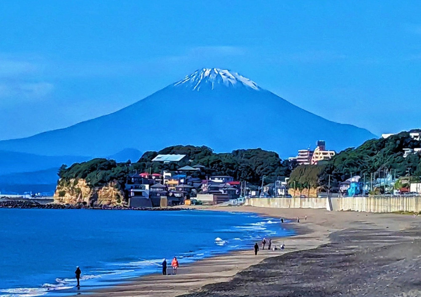 7日間の南関東プライベートチャーター