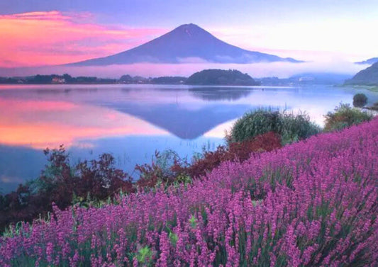 9 DAYS KOSHINETSU PRIVATE TOUR