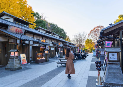 8 DAYS SHIRAKAWA-GO PRIVATE TOUR