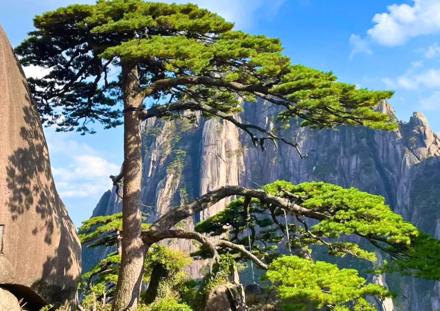 7日間の黄山プライベートツアー