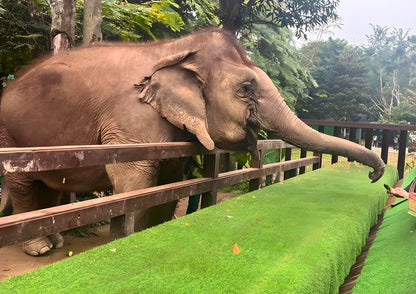 14 DAYS XISHUANGBANNA PRIVATE TOUR