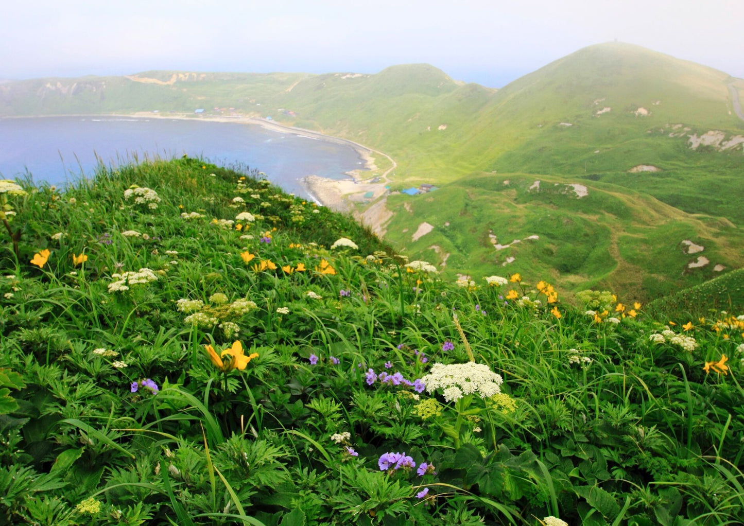 7 天北海道道北私人包團