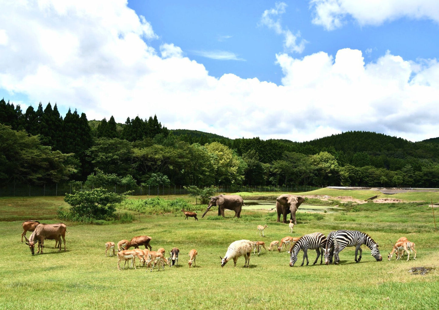 14天山陽・山陰私人包團