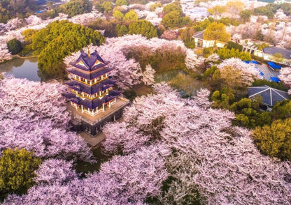 5 DAYS JIANGSU PRIVATE TOUR