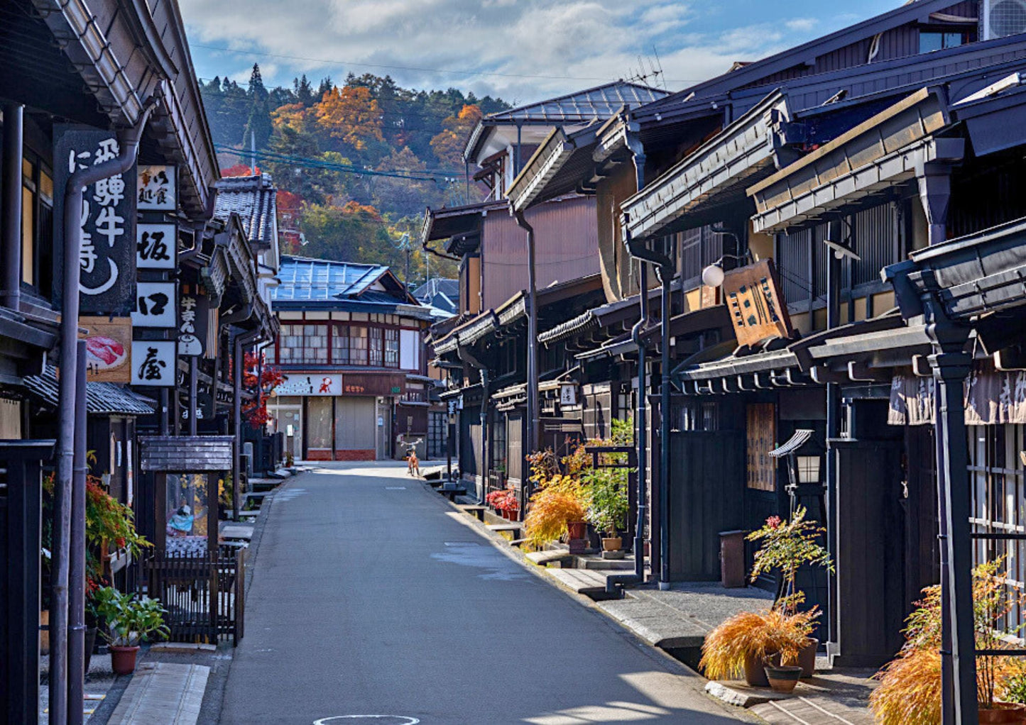 6 DAYS SHIRAKAWA-GO PRIVATE TOUR