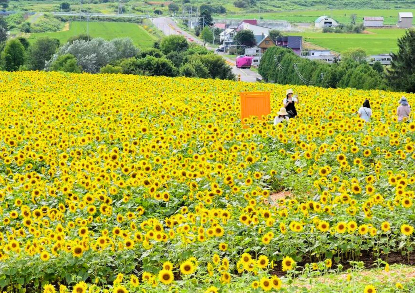 8日間の北海道道北プライベートツアー