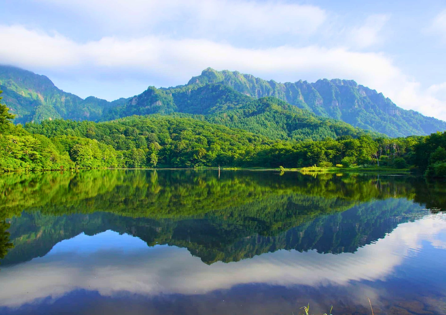 13天甲信越私人包團