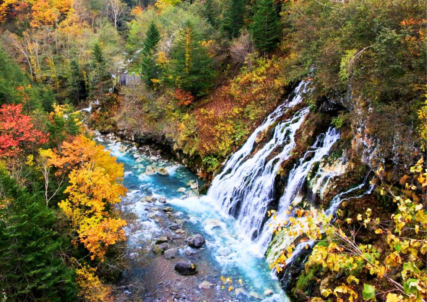 7 天北海道道東私人包團