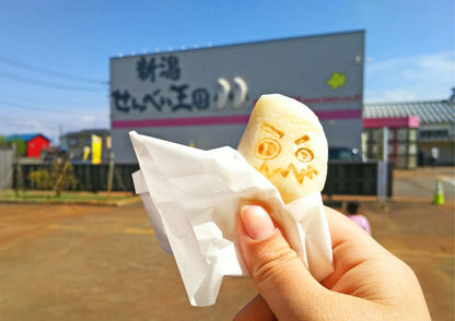 10天甲信越私人包團