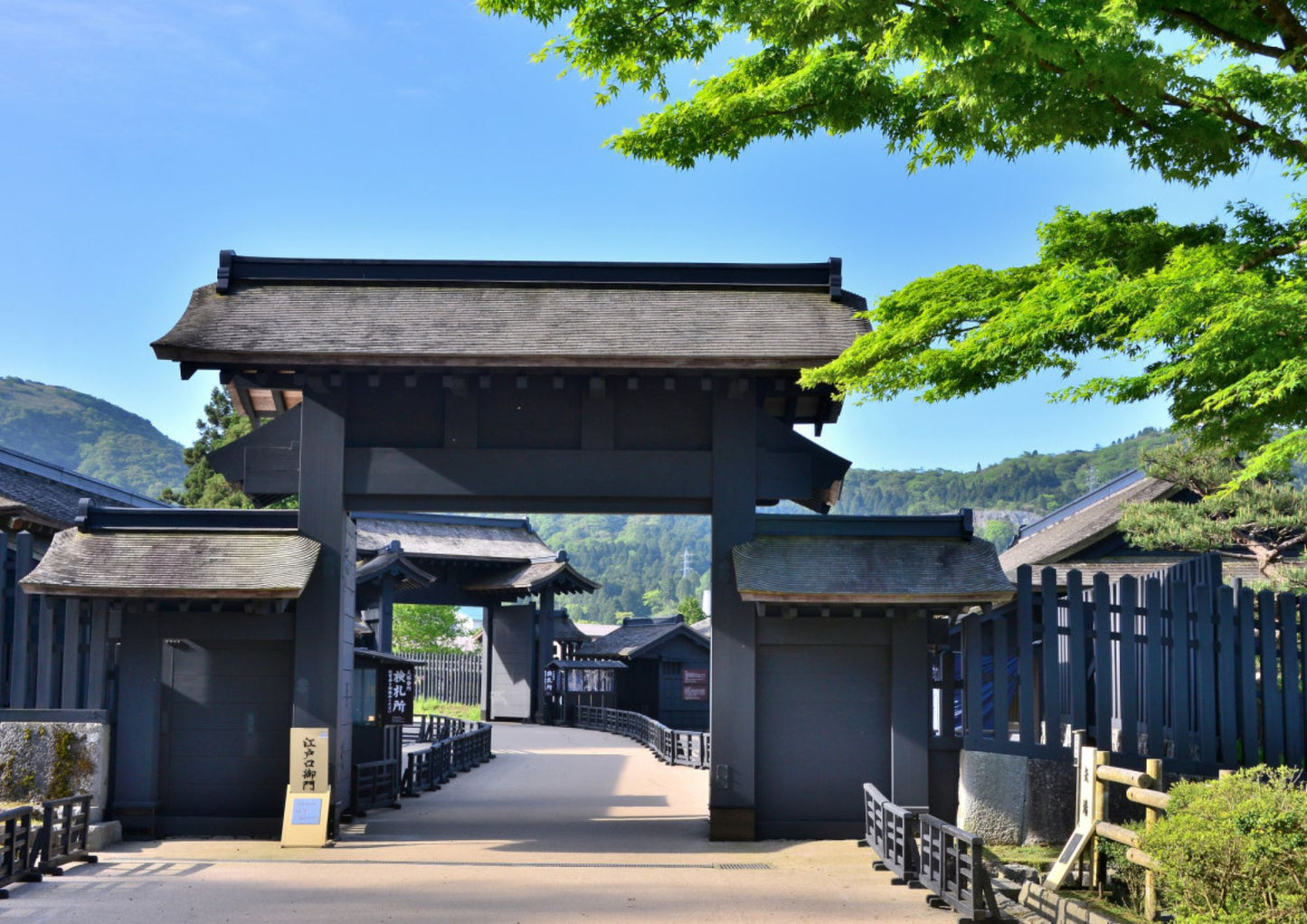 7 DAYS SOUTH KANTO PRIVATE TOUR