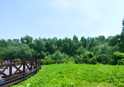 4 DAYS HUIZHOU PRIVATE TOUR