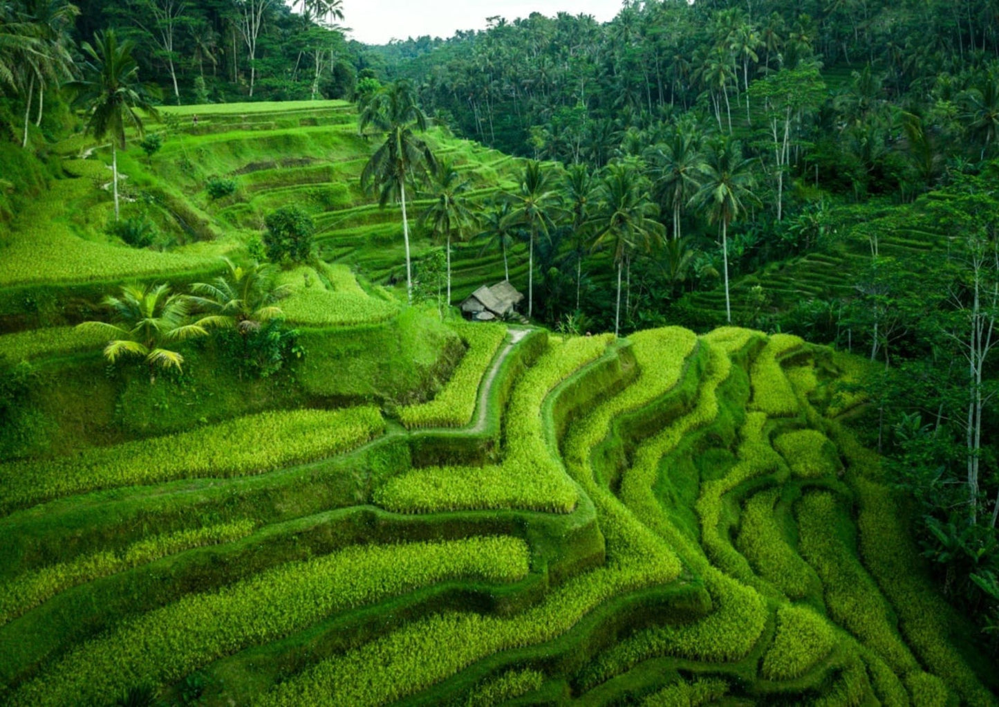 6 DAYS BALI PRIVATE TOUR