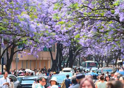 14 DAYS XISHUANGBANNA PRIVATE TOUR