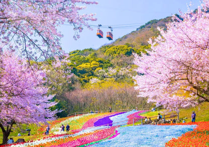 13日間の山陽・山陰プライベートツアー