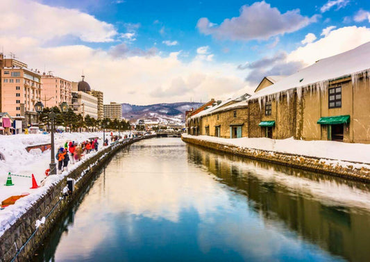 8 天北海道道央私人包團