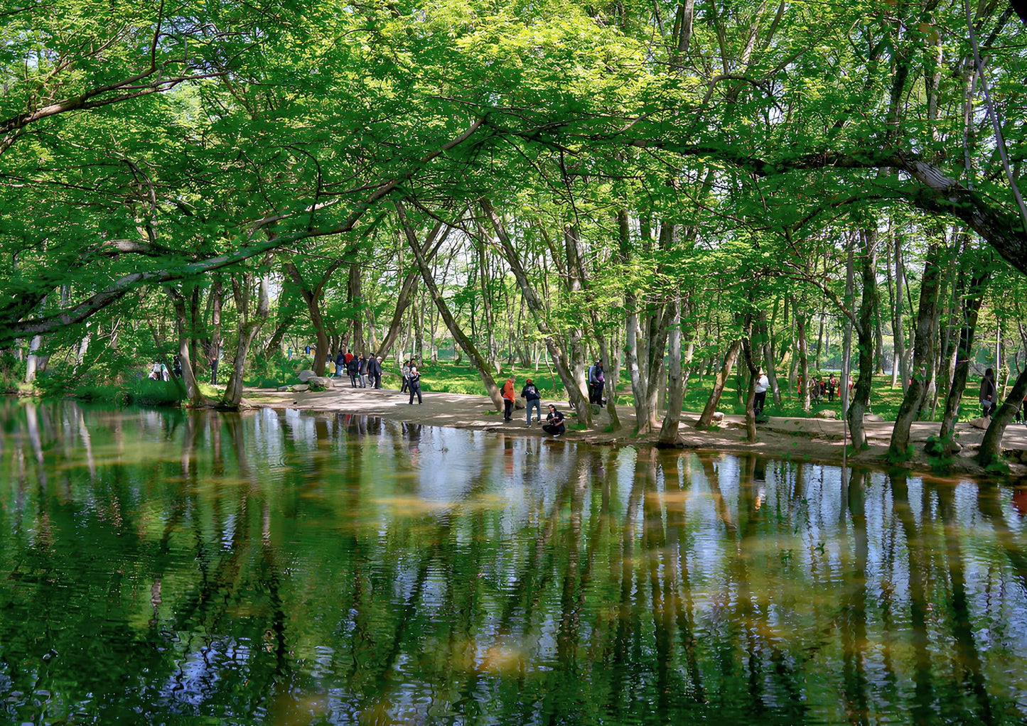 7日間の黄山プライベートツアー