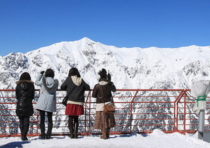 7 DAYS SHIRAKAWA-GO PRIVATE TOUR