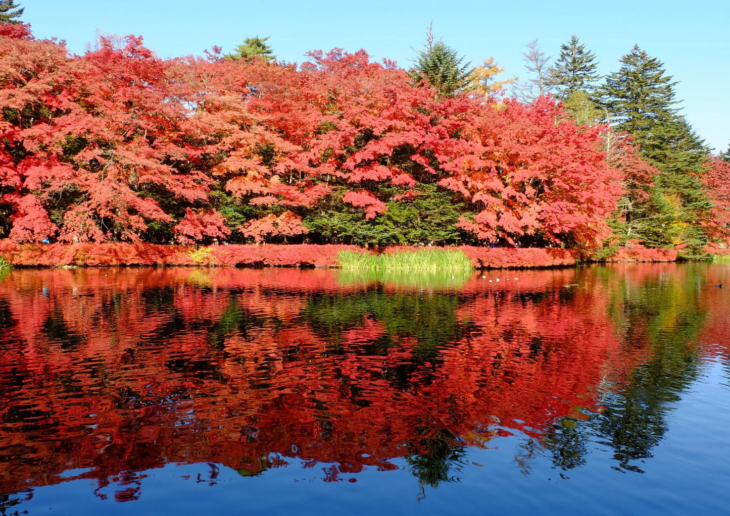12日間の甲信越プライベートツアー