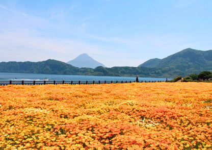 8 DAYS SOUTH KYUSHU PRIVATE TOUR