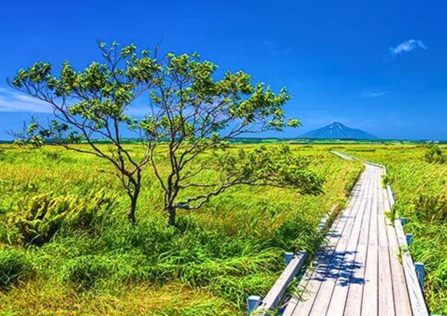 8日間の北海道道北プライベートツアー