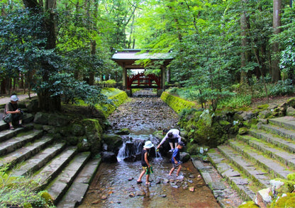 10天甲信越私人包團