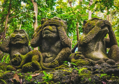 6 DAYS BALI PRIVATE TOUR