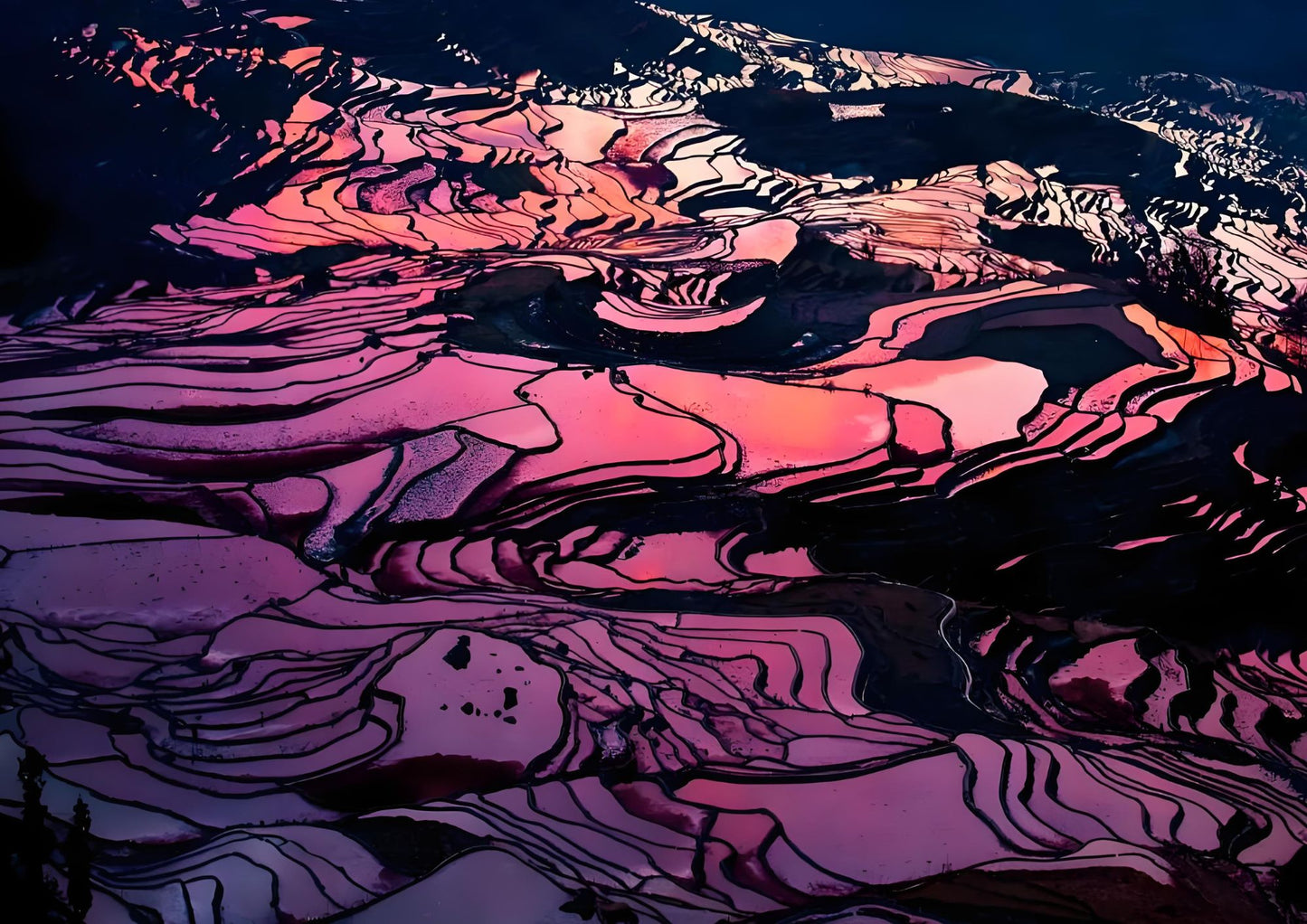 14 DAYS XISHUANGBANNA PRIVATE TOUR