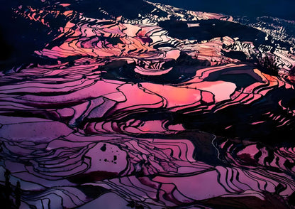 14 DAYS XISHUANGBANNA PRIVATE TOUR