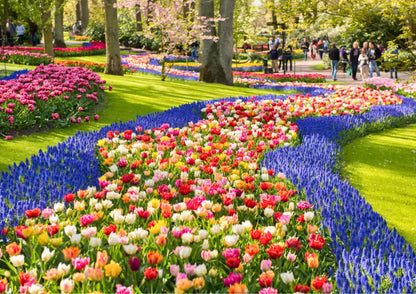 11 天荷蘭、比利時、盧森堡私人包團