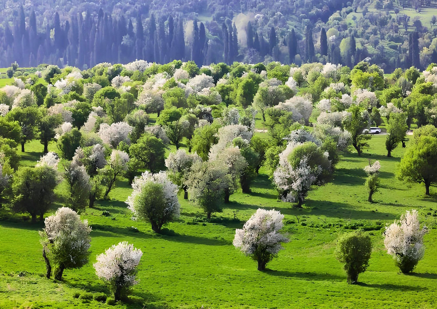10 DAYS NORTH & WEST XINJIANG PRIVATE TOUR