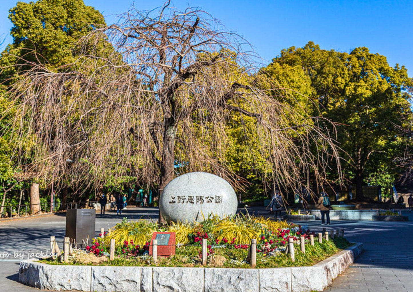 8日間の南関東プライベートチャーター