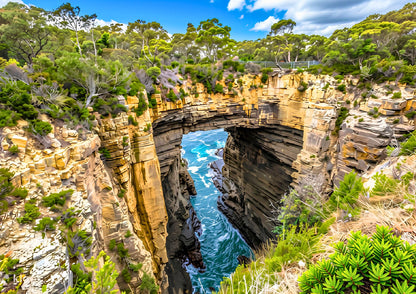 8 DAYS TASMANIA PRIVATE TOUR