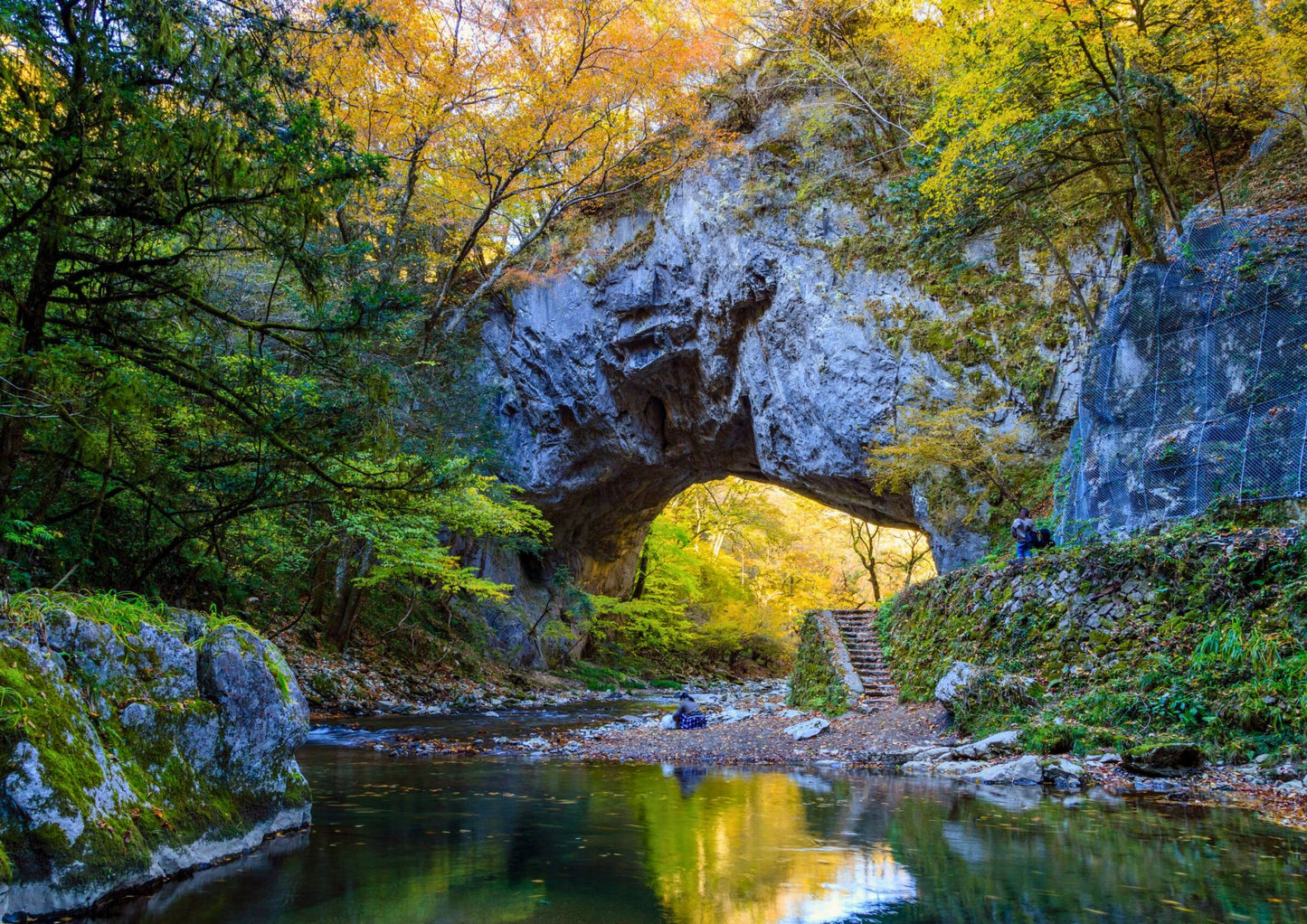 9天山陽・山陰私人包團