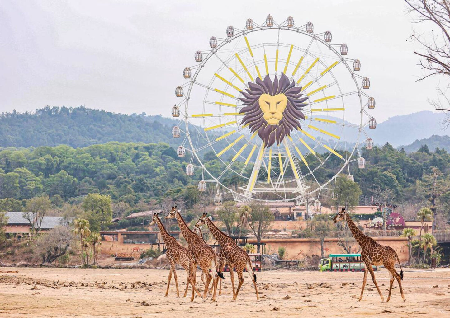 4 DAYS QINGYUAN PRIVATE TOUR