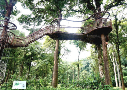 6 DAYS BALI PRIVATE TOUR