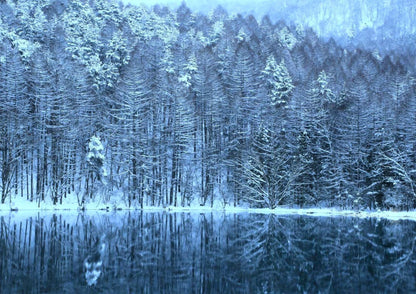 13天甲信越私人包團