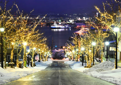 6 天北海道道南私人包團