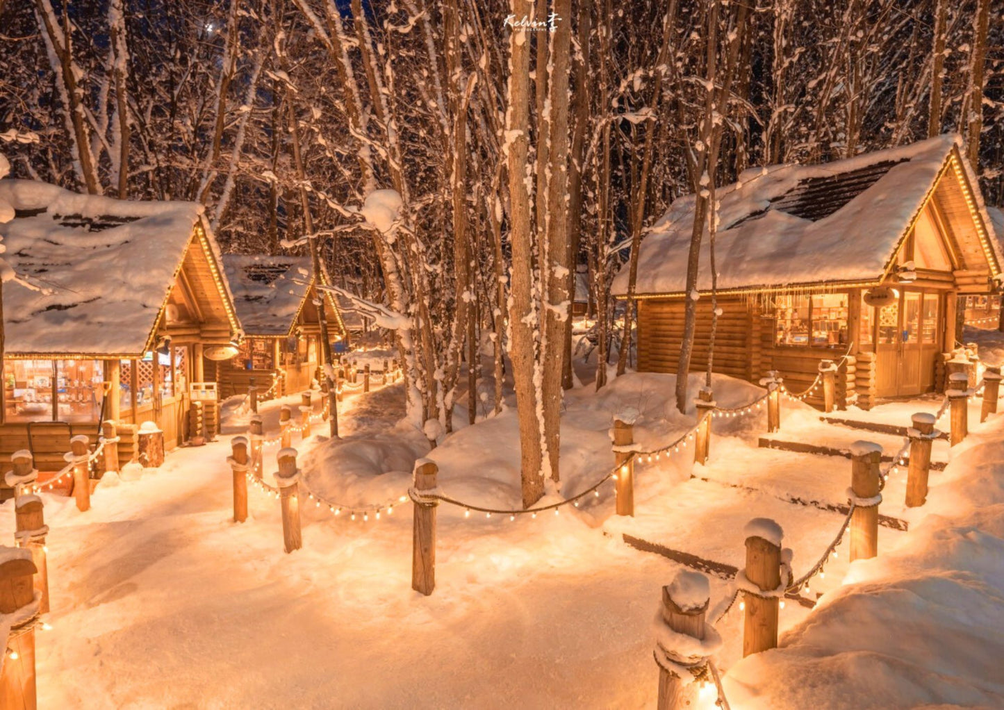 7 天北海道道央私人包團