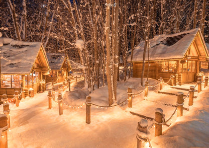 6 天北海道道東私人包團