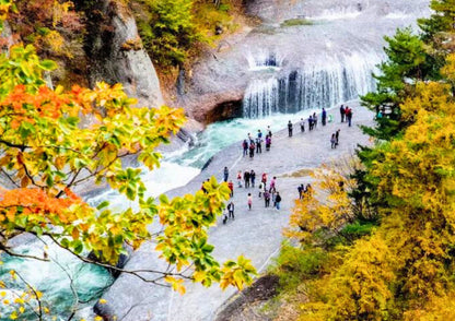 6 DAYS NORTH KANTO PRIVATE TOUR