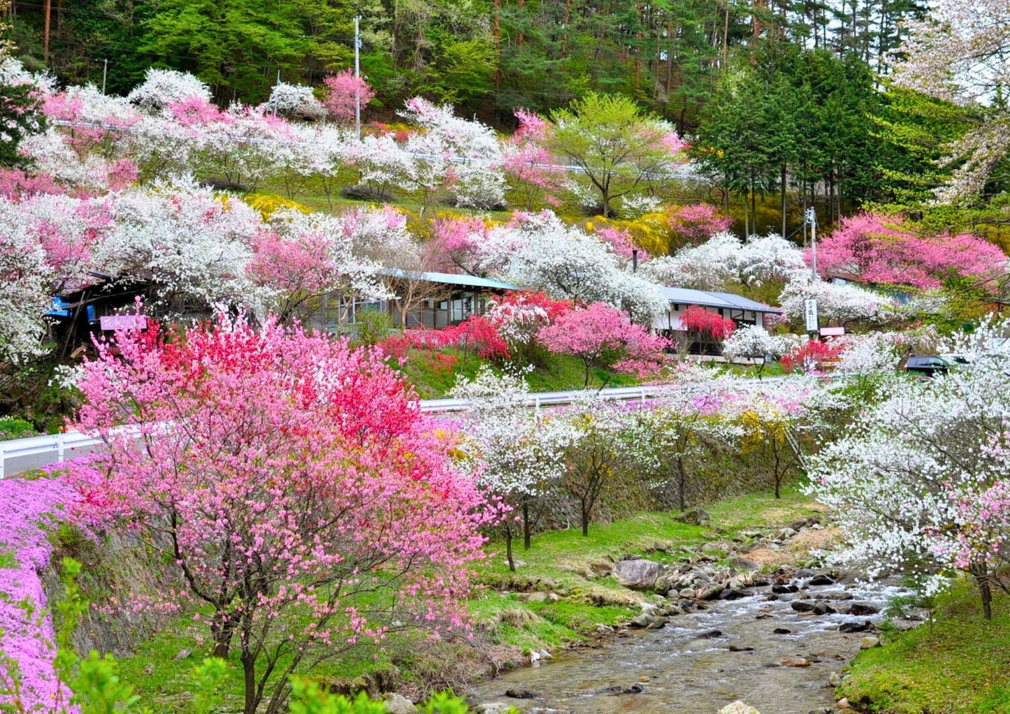 7 DAYS TATEYAMA PRIVATE TOUR