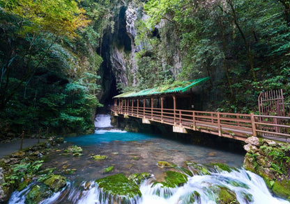 11天山陽・山陰私人包團