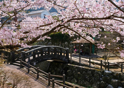 7 DAYS WEST KYUSHU PRIVATE TOUR