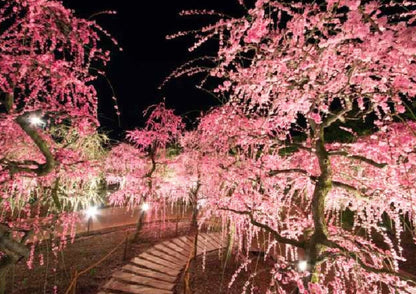 7日間の北陸プライベートツアー