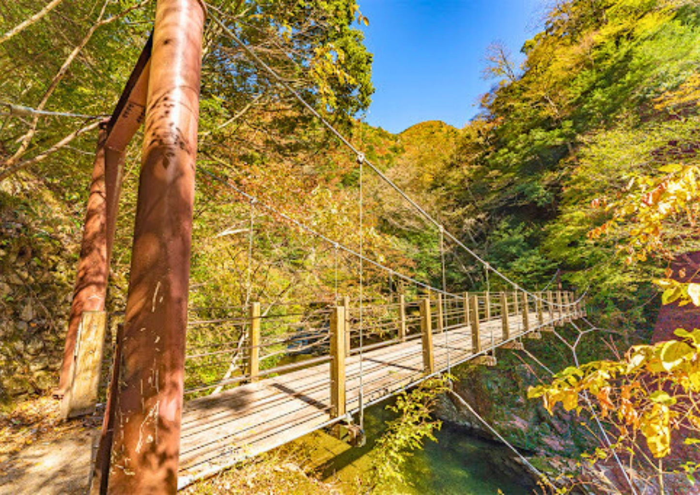 10天山陽・山陰私人包團