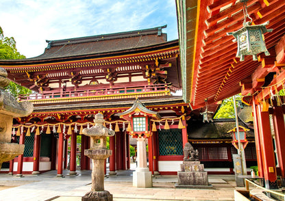 6 DAYS NORTH KYUSHU PRIVATE TOUR