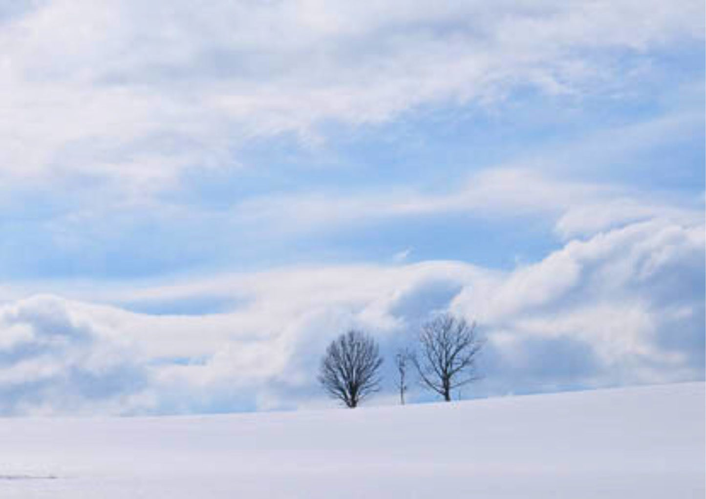 7 天北海道道央私人包團